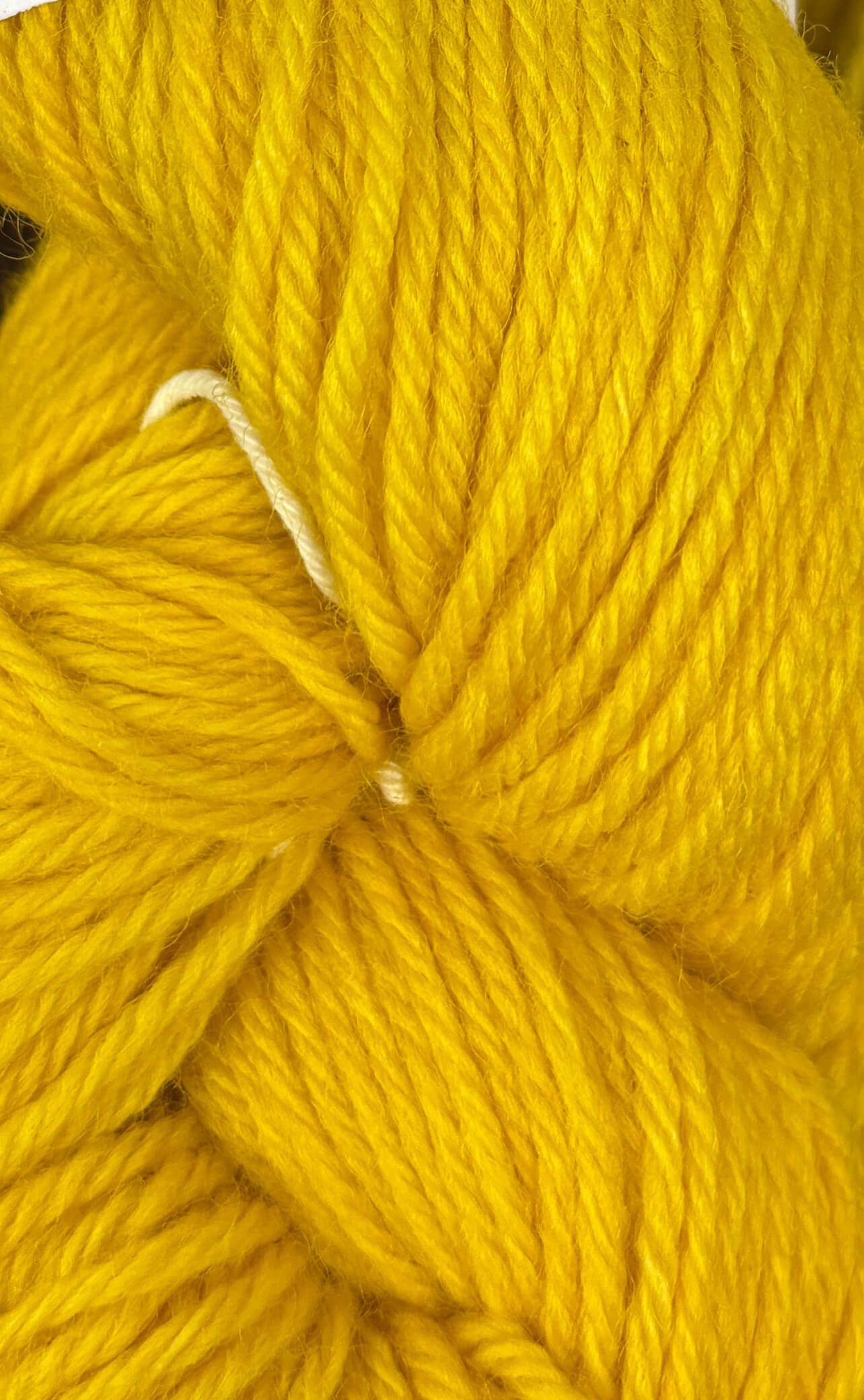 Close-up of bright yellow yarn