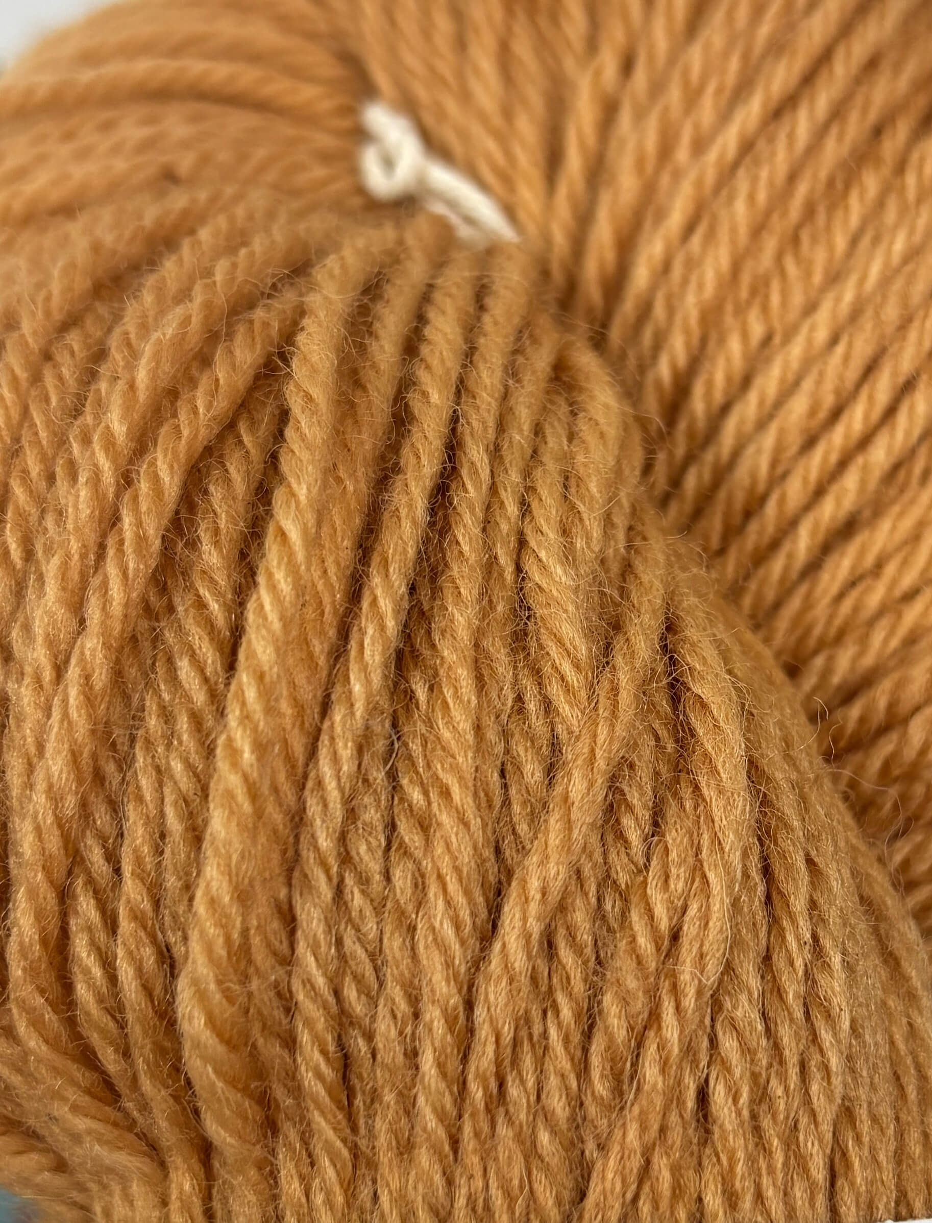 Close-up of a ball of rusty orange yarn