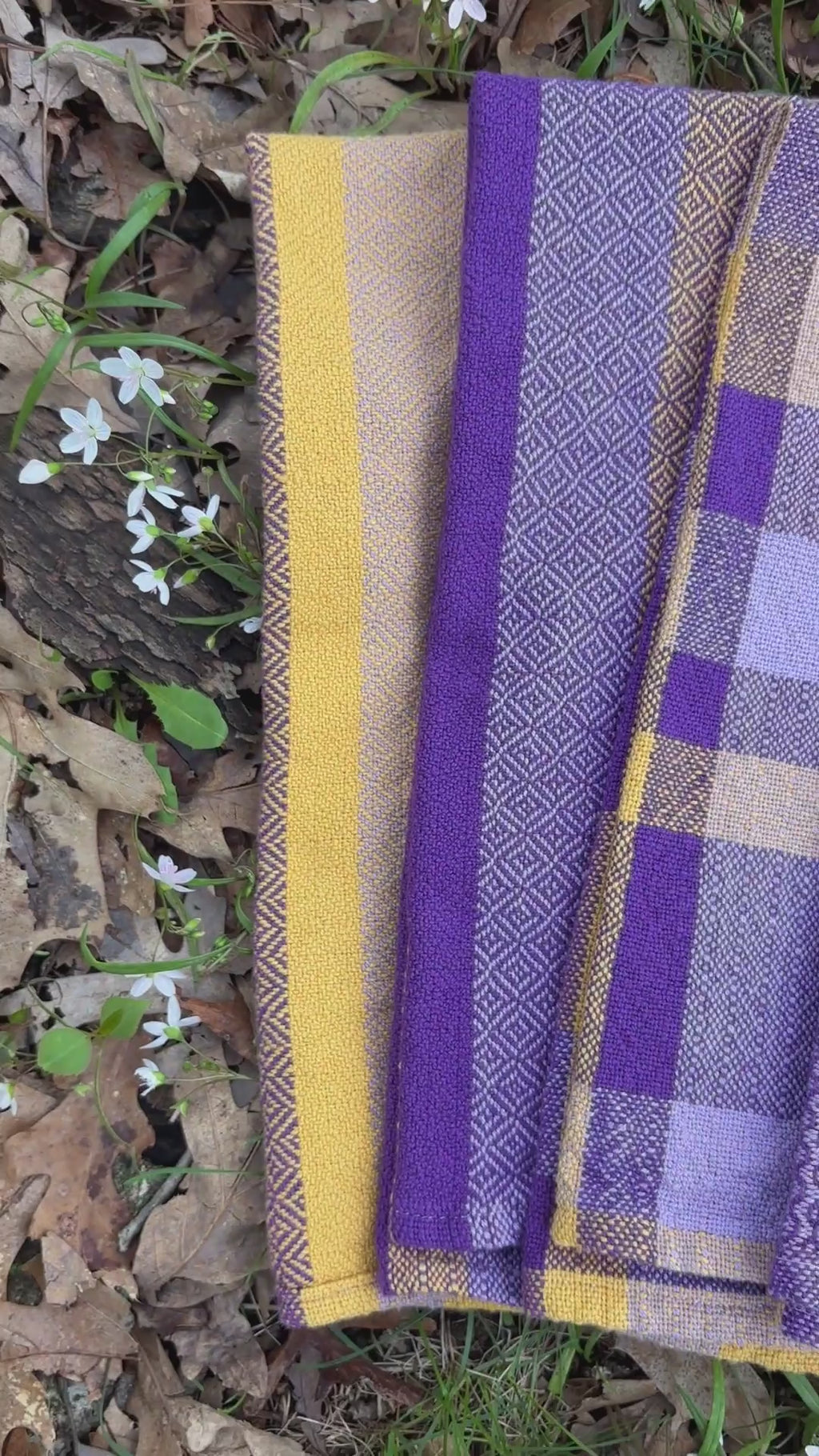 Spring Time Towels